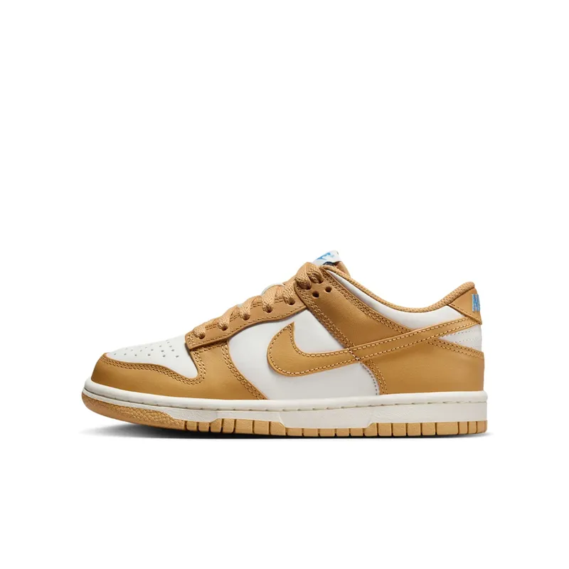 Nike Dunk Low GS “Honeycomb” (FB9109-700)