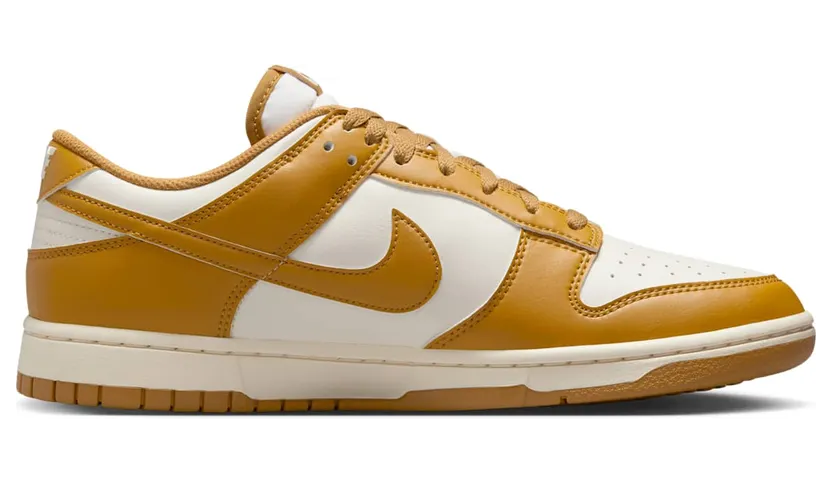 nike-dunk HF5441-108