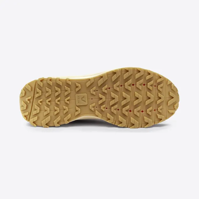 veja-fitz-roy FR2303371A