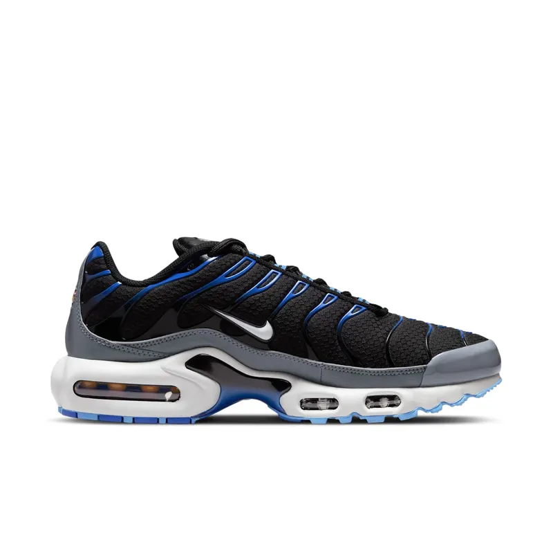 Nike Air Max Plus Black Royal Grey (DH4776-003)