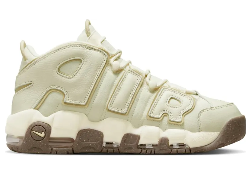 nike-air-more-uptempo DV7230-100