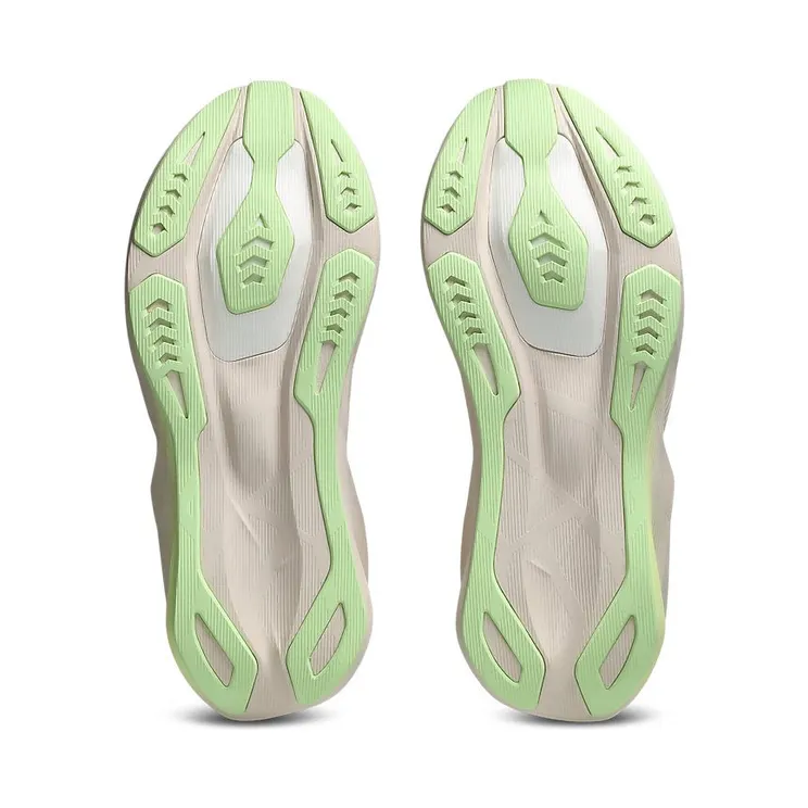 asics-novablast 1011C243-700
