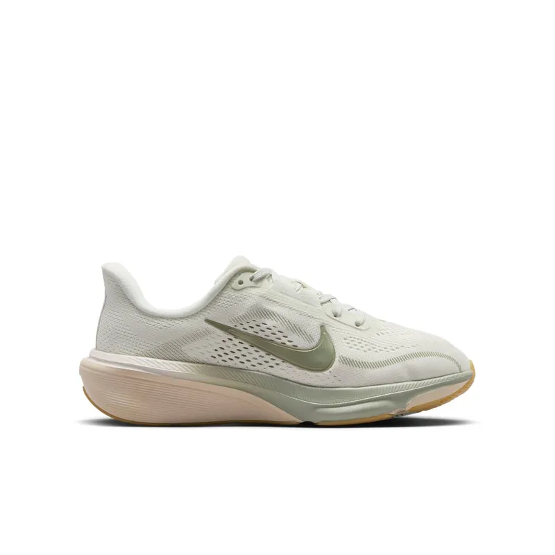 Nike Pegasus Spruce Aura/Pale Ivory/Gum Light Brown/Jade Horizon (IH2306-001)