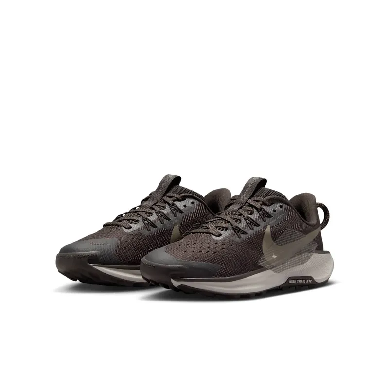 Nike Pegasus Trail Bruin (FV5638-201)