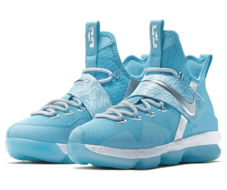 Nike LeBron 14 Ric Flair (GS)