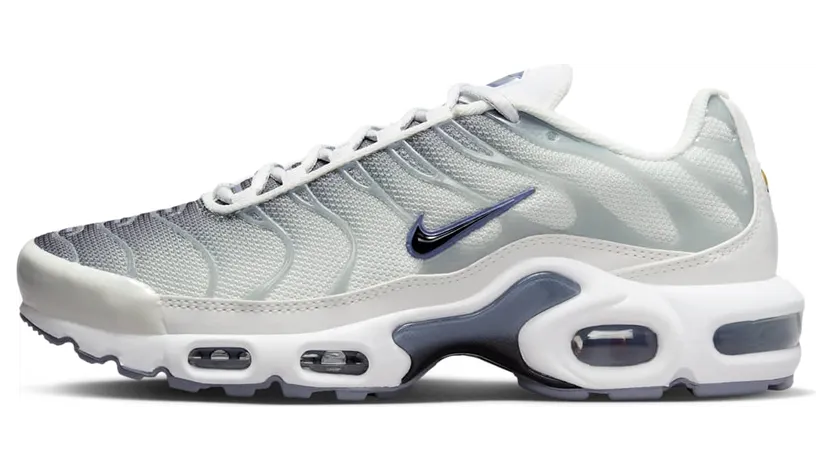 Nike Air Max Plus FQ2892-100