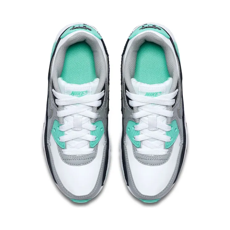 nike-air-max CD6867-102