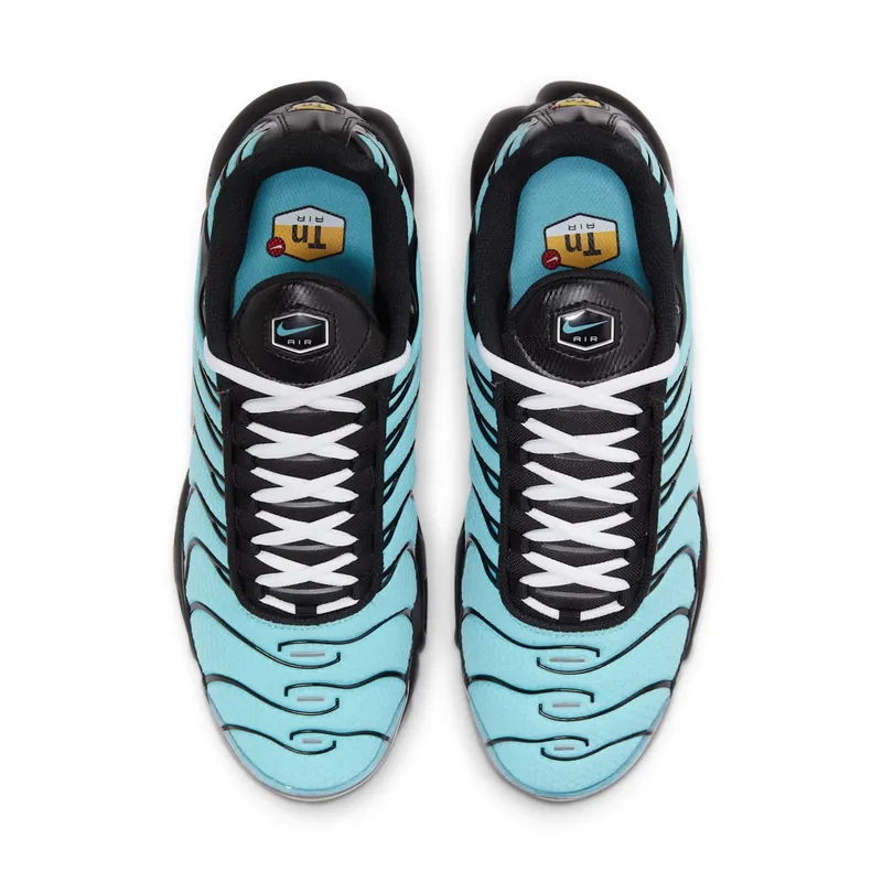 Nike Air Max Plus Aqua Blue (CV8838-400)