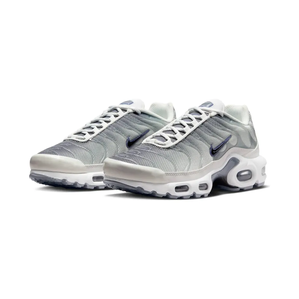 Nike Air Max Plus Smoke Grey Ashen Slate (FQ2892-100)