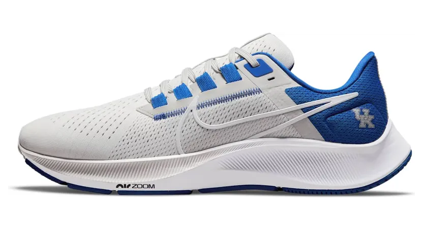 Nike Air Zoom Pegasus 38 “Kentucky” (DJ0830-001)