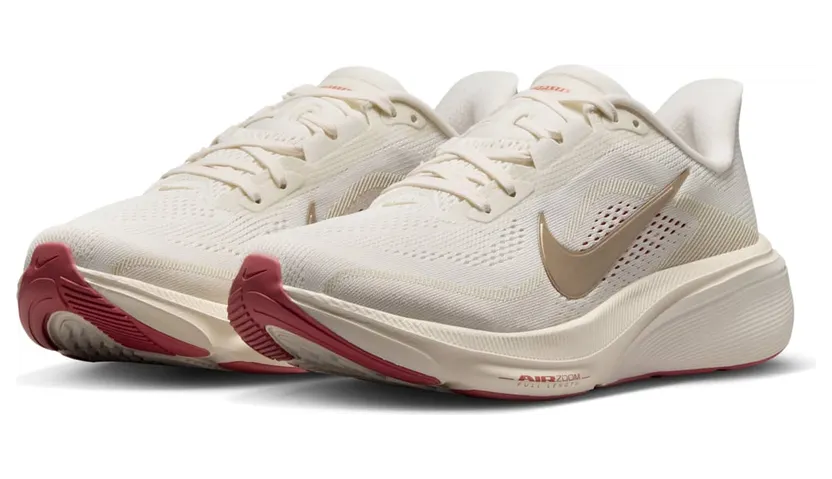 nike-air-pegasus IB1881-004