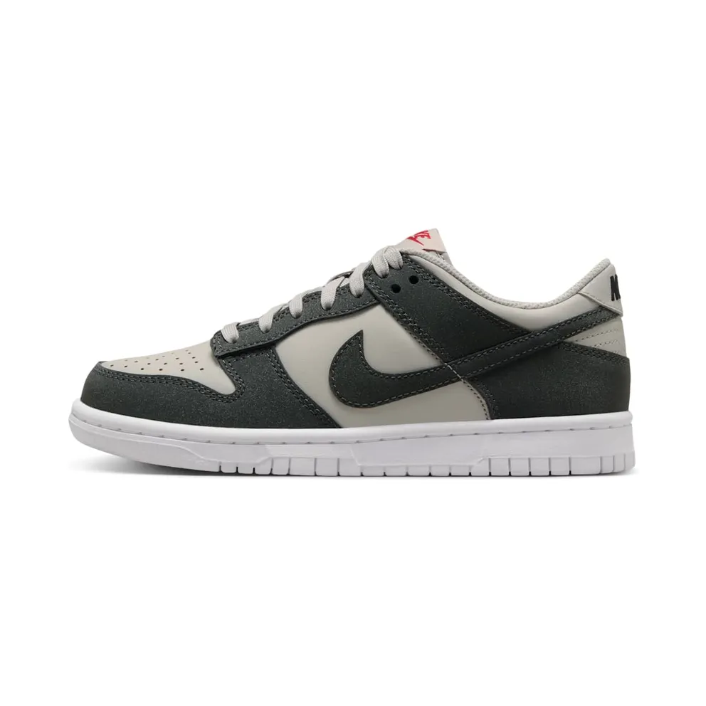 Nike Dunk Low GS “Anthracite” (FZ1000-001)