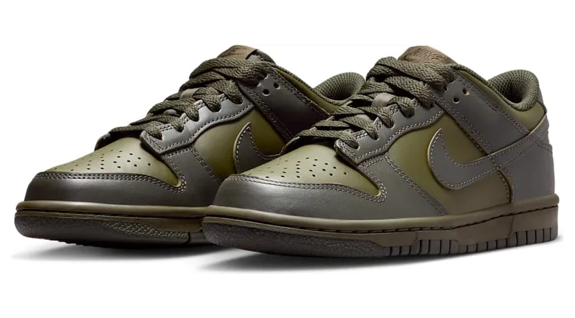 nike-dunk FB9109-302
