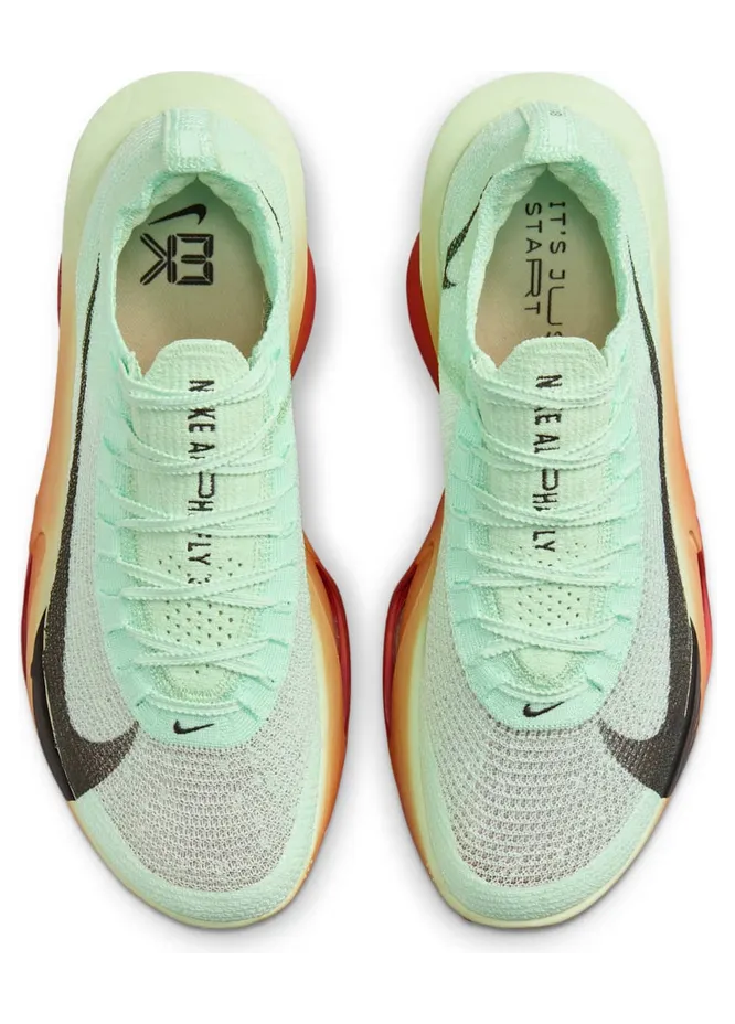 nike-alphafly HJ7041-300