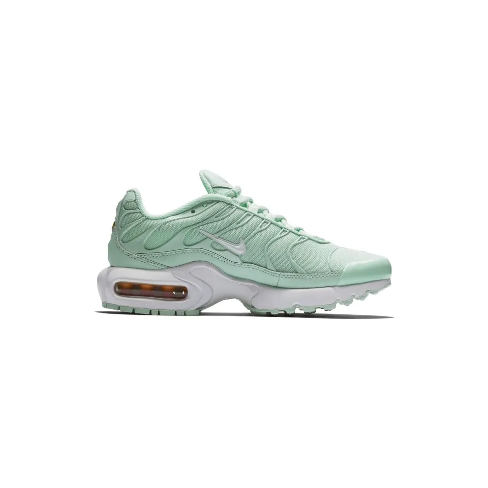 Nike Air Max Plus Igloo (GS) Igloo/White-Igloo (718071-300)