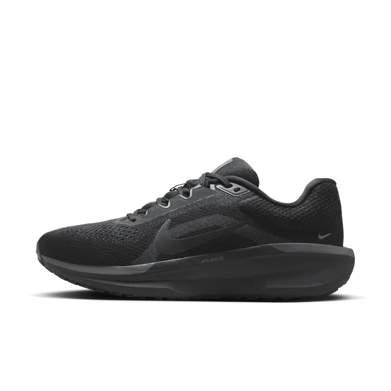 Nike Winflo 11 Black Anthracite (FJ9509-002)