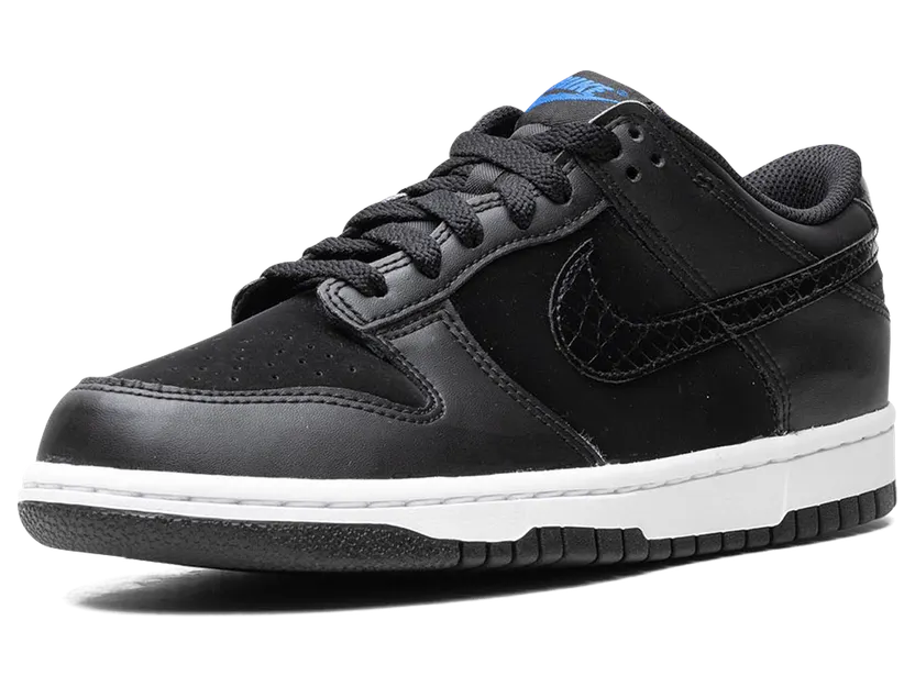 nike-dunk FV7472-001