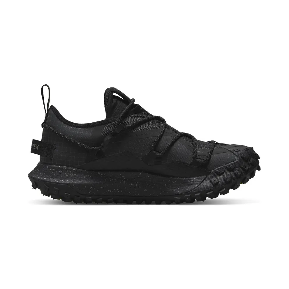 Nike ACG Mountain Fly Low GORE-TEX SE Grey (DD2861-002)