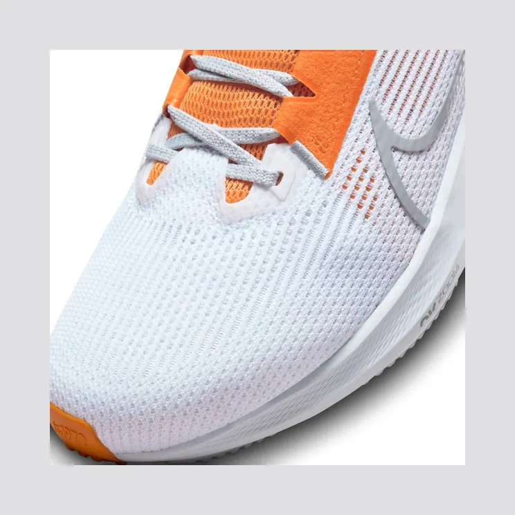 nike-air-pegasus DZ5980-100