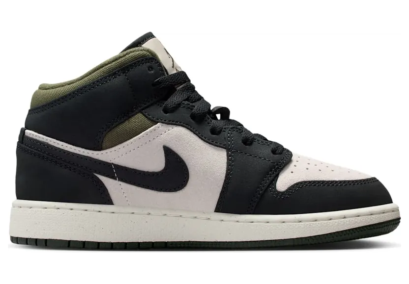 air-jordan-1 HV4399-102