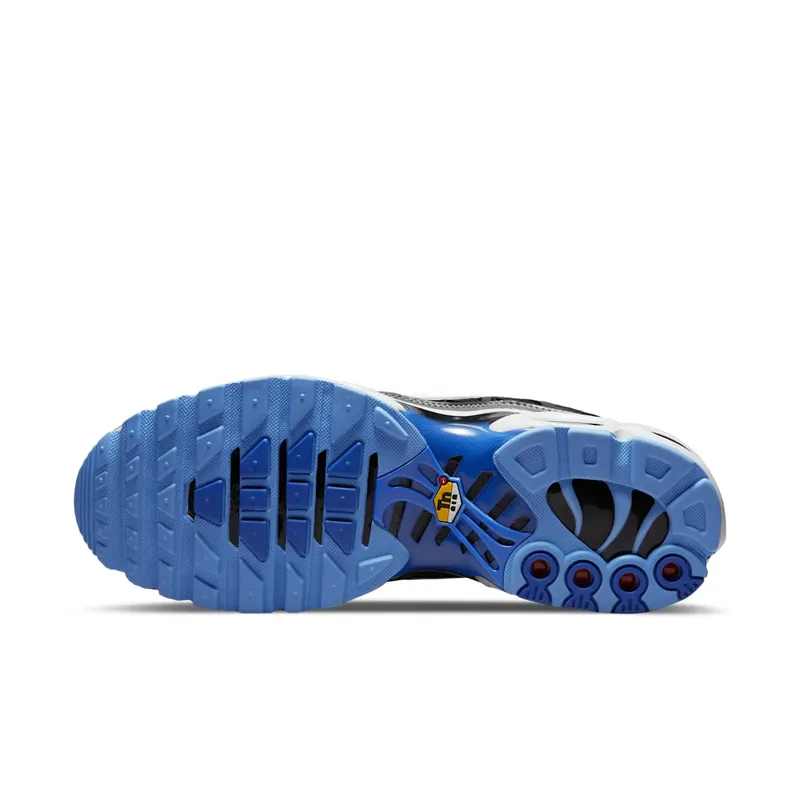 Nike Air Max Plus Black Royal Grey (DH4776-003)
