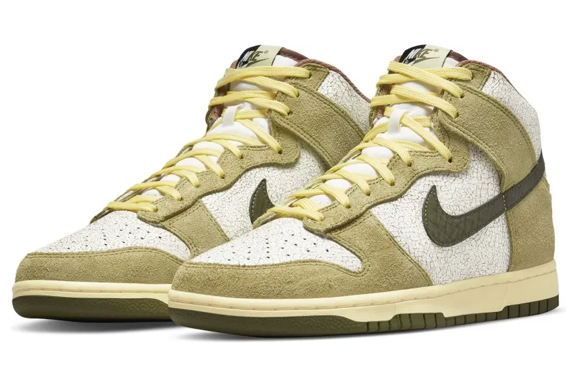 nike-dunk DO6713-300