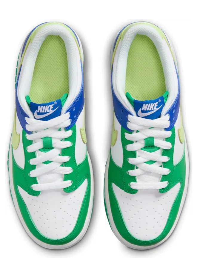 nike-dunk FN6973-100