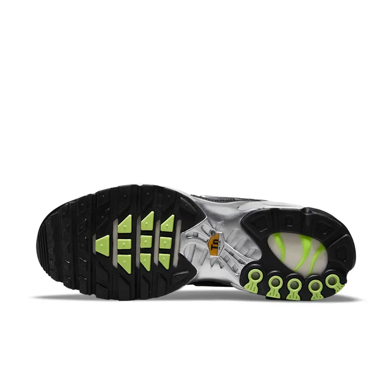 Nike Air Max Plus SE Black Chrome (DM7570-001)