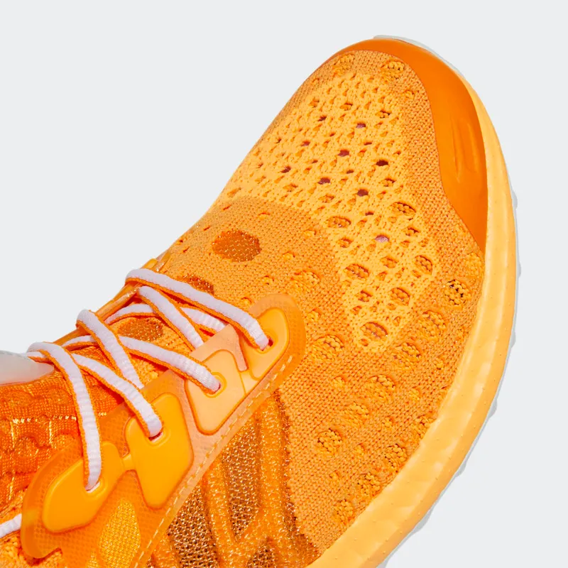 adidas Ultraboost Climacool 2 DNA Orange Rush / Cloud White / Flash Orange (GX2945)