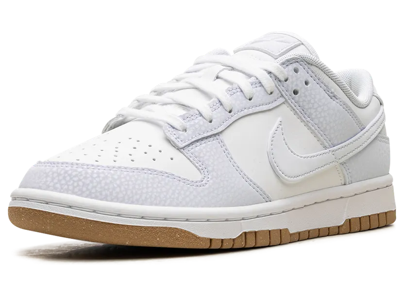 nike-dunk FN6345-100