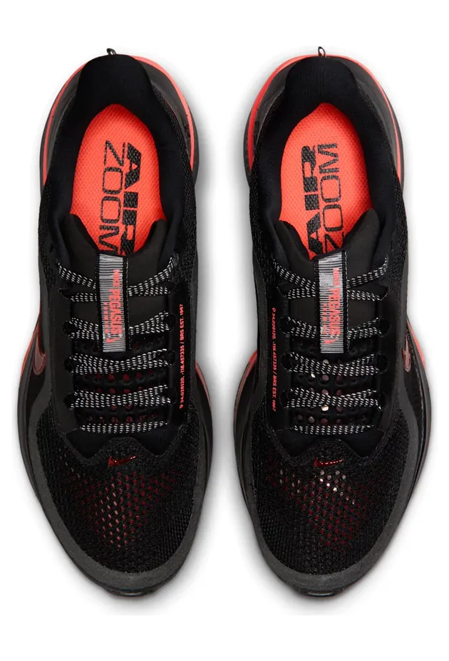 nike-air-pegasus HQ2593-010
