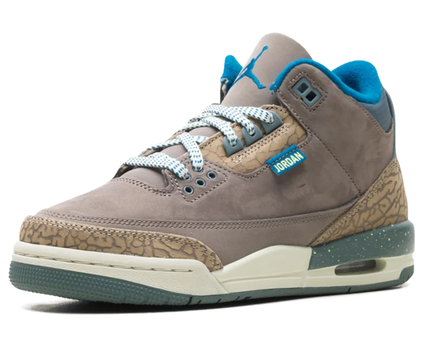 air-jordan-3 IB7066-001