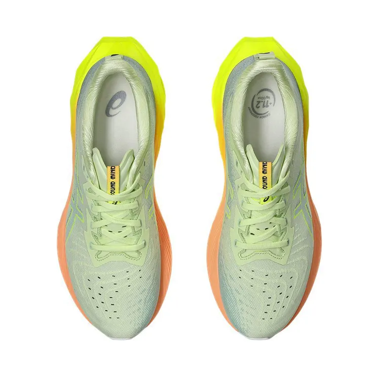 asics-novablast 1011B955-750