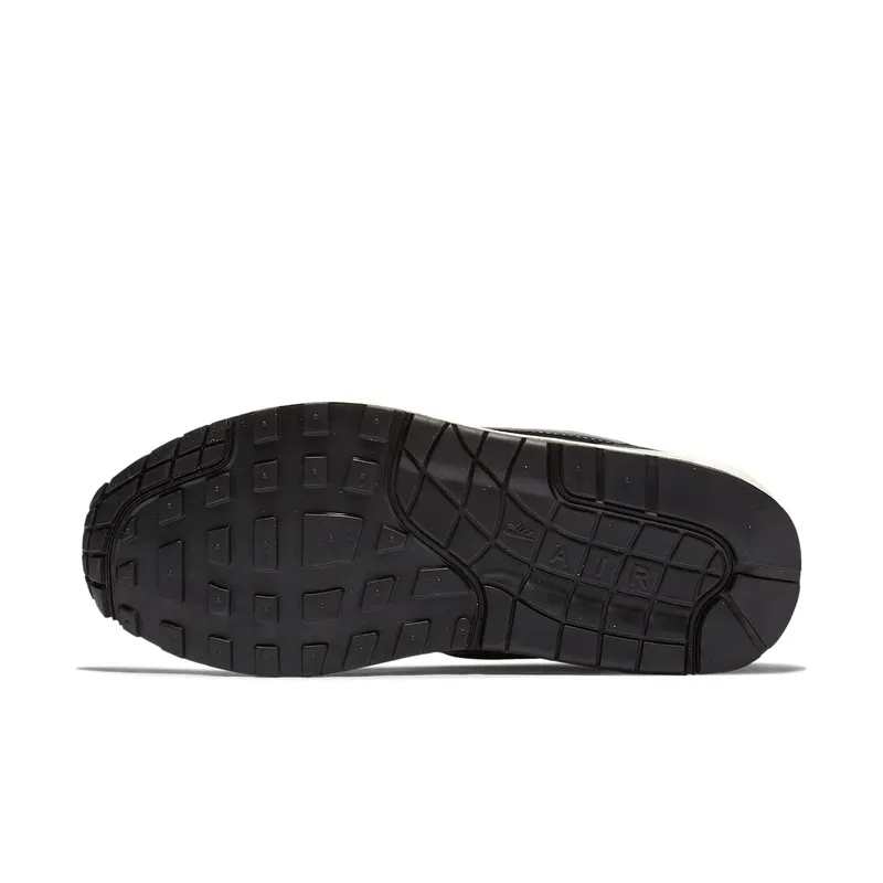 Nike Air Max 1 Stealth (W) Black/Black-White (319986-039)