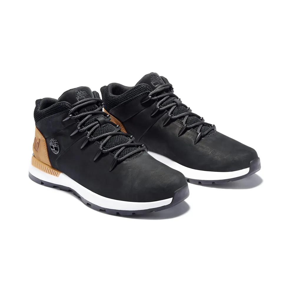 Timberland sneaker Black (TB0A24AB015)