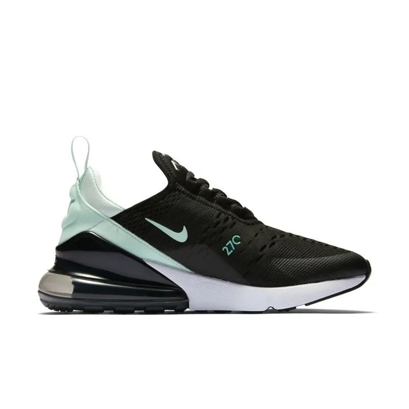 Nike Air Max 270 Igloo (W) (AH6789-008)