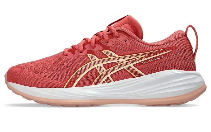 ASICS Gel-Cumulus 27 Dark Pink Clay Cream (1014A366-700)