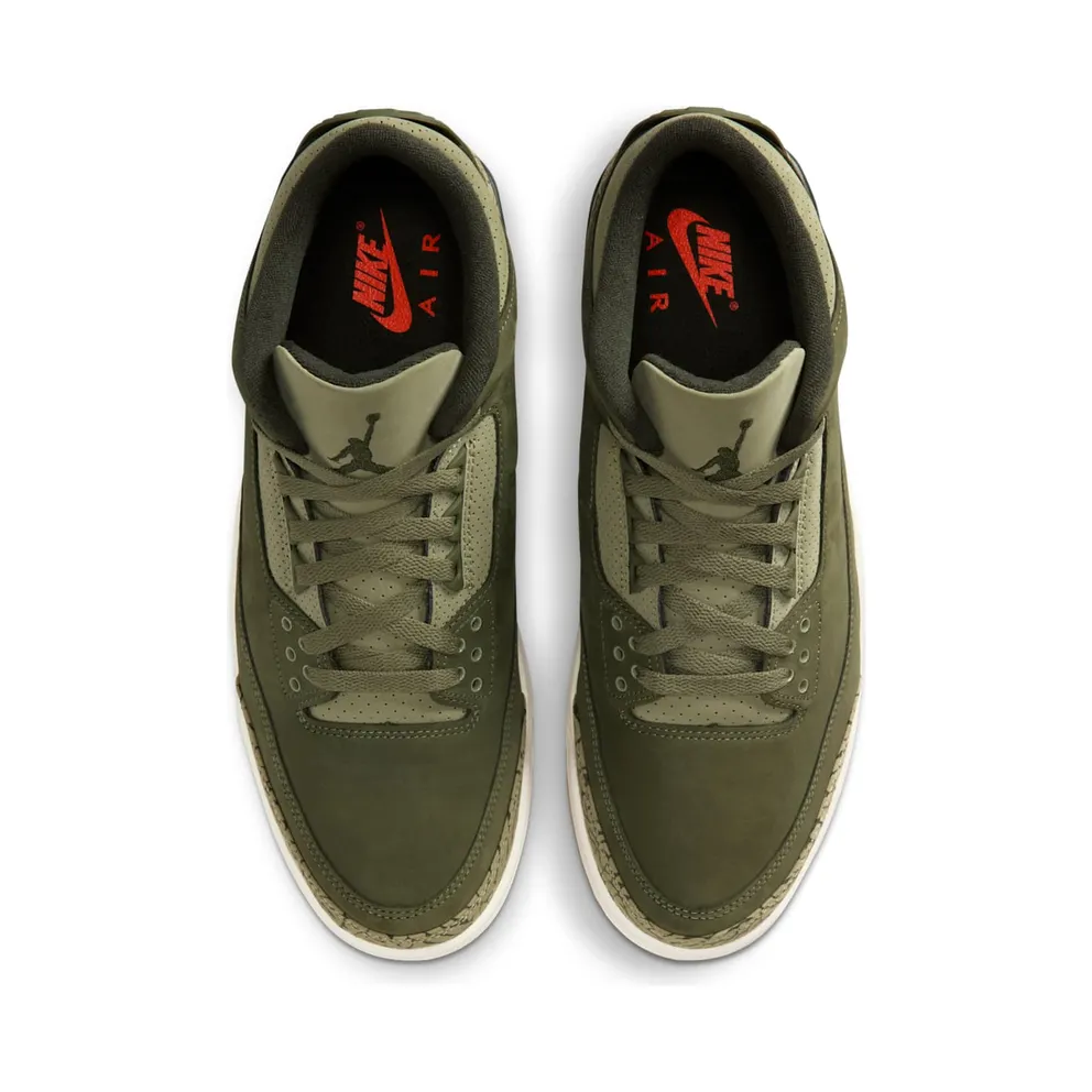 Air Jordan 3 “Family Affair” (DN3707-202)