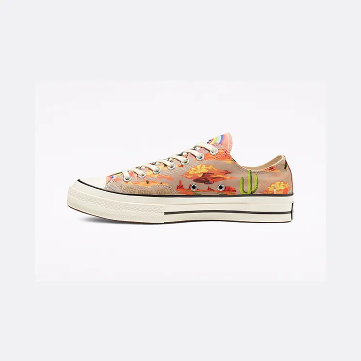 converse-chuck-70-low 167762C
