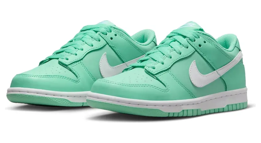 nike-dunk DH9765-302