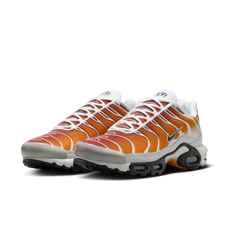 Nike Air Max Plus One Block Down Chutney (FZ3308-700)