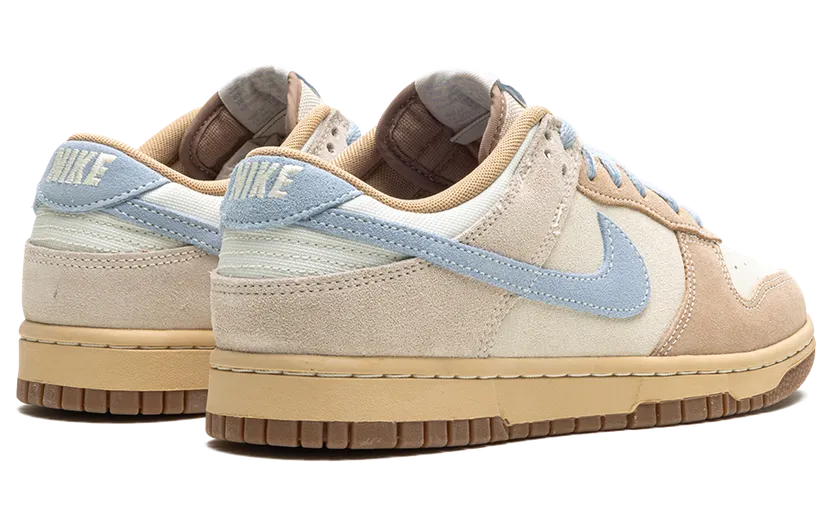 nike-dunk HF0106-100