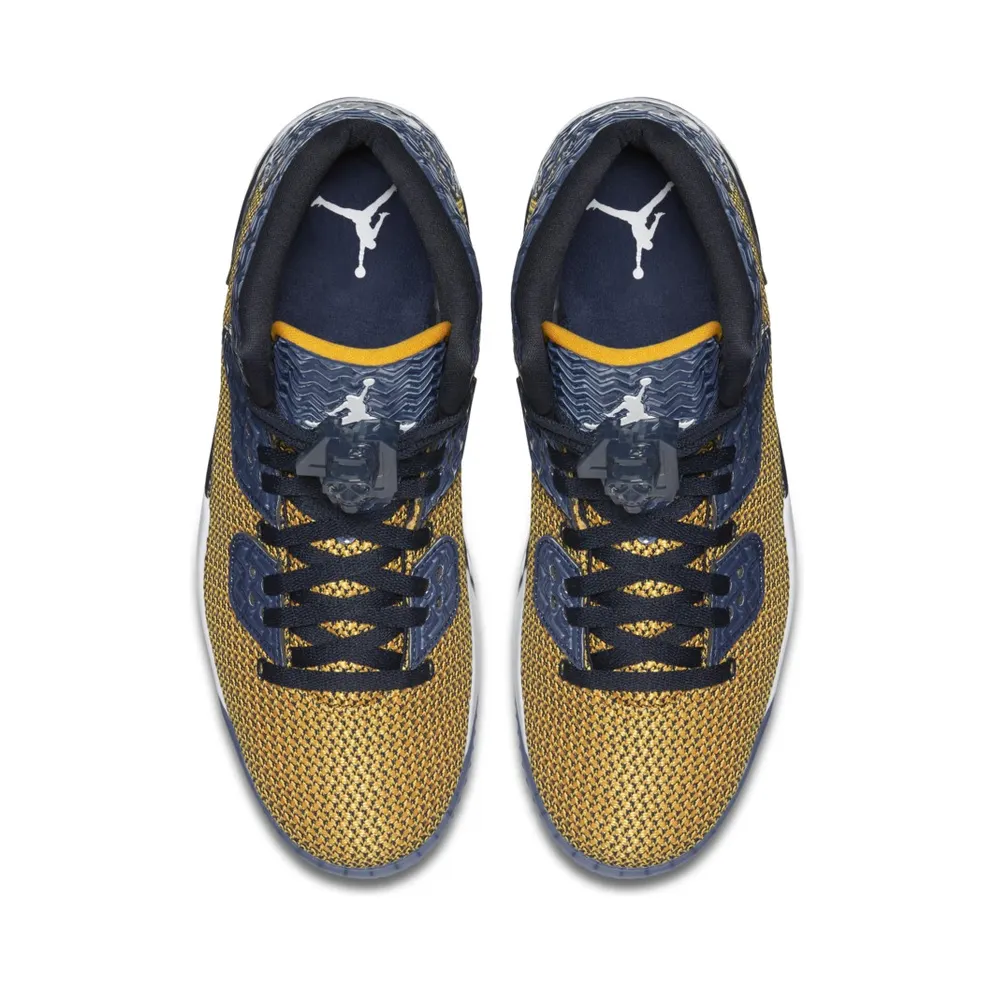 Jordan Spike Forty Gold Leaf/White-Midnight Navy Gold Leaf/White-Midnight Navy (819952-706)