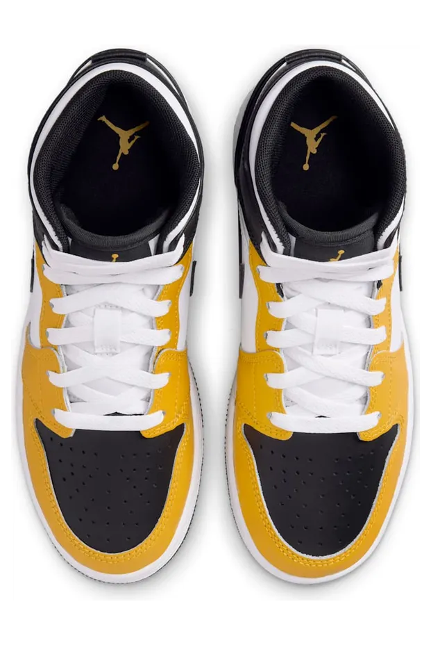 air-jordan-1 DQ8423-701
