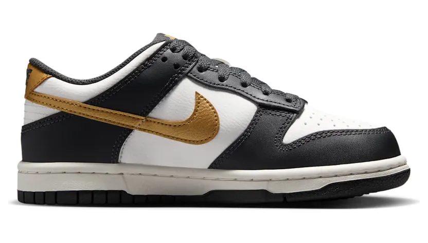 nike-dunk HV2533-100