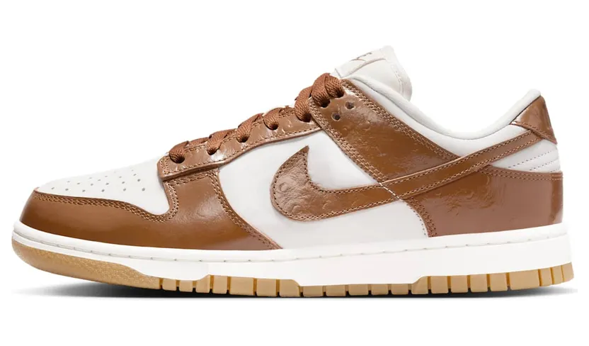 nike-dunk FJ2260-001
