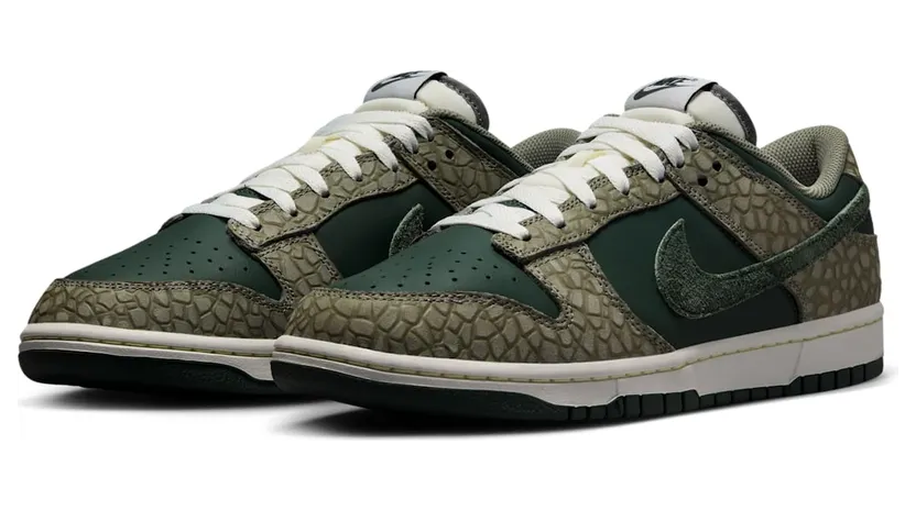 nike-dunk HF4878-053