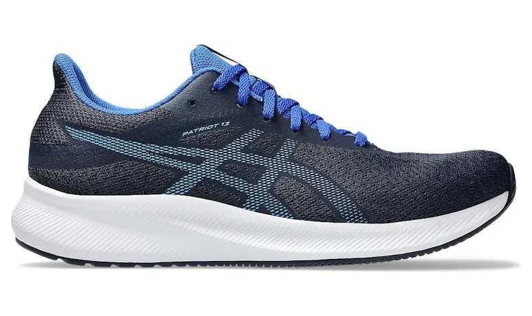 asics-patriot 1011B485-413