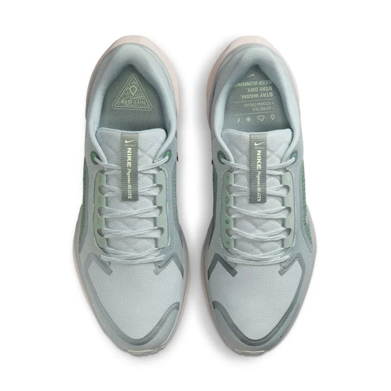 Nike Air Zoom Pegasus 41 Gore-Tex Light Pumice Metallic Silver (FQ1356-007)