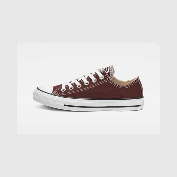 converse-chuck-taylor-all-star 163356F